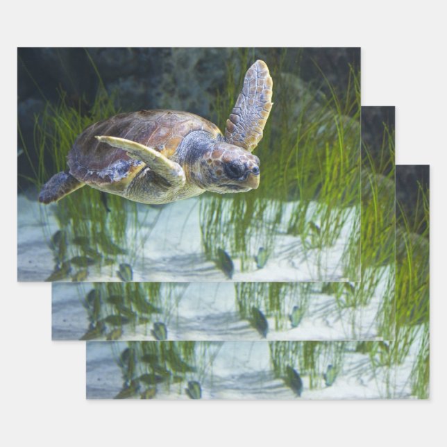 Beautiful Sea Turtle Swimming Horizontal Wrapping Paper Sheet (Set)