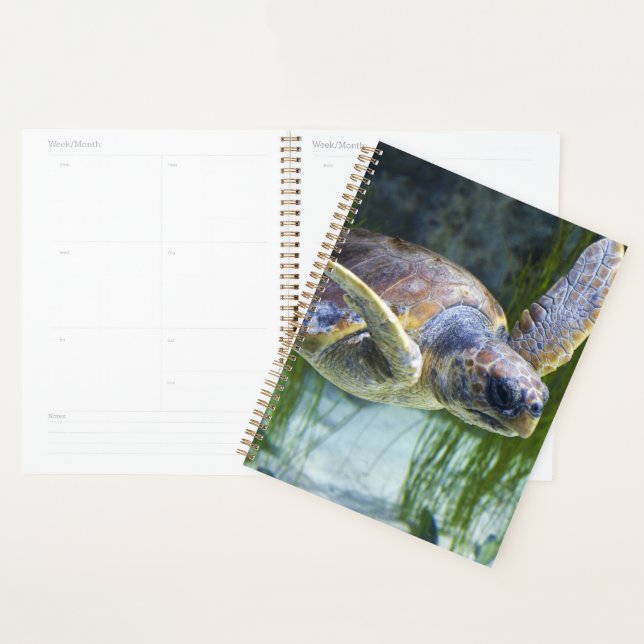 Beautiful Sea Turtle Swimming Planner (Display)