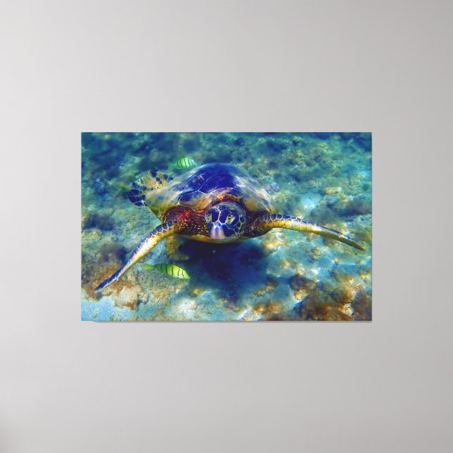 Beautiful sea Turtles Canvas Print (Front)