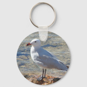 Beautiful Seagull - Keychain