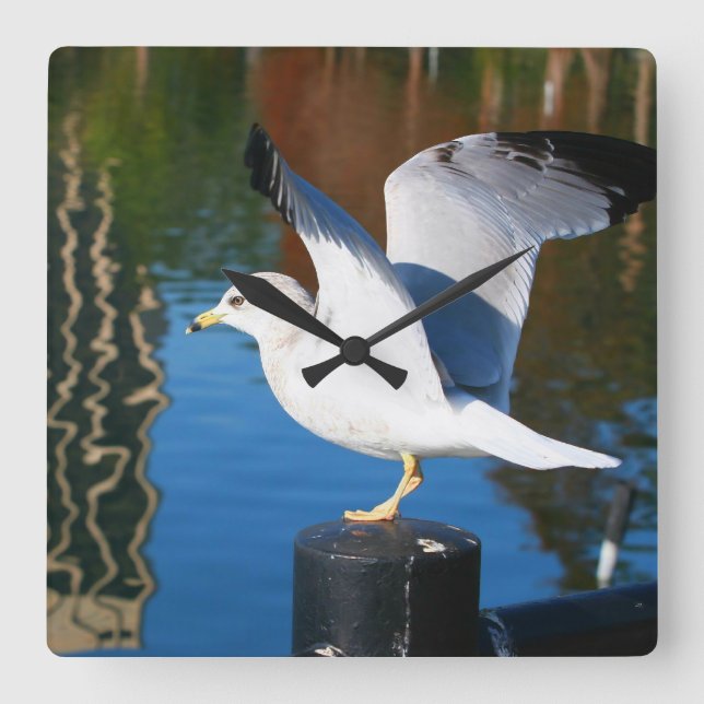 Beautiful Seagull Wall Clock (Front)