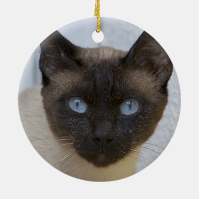 Beautiful Seal Point Siamese Cat Ceramic Ornament (Back)