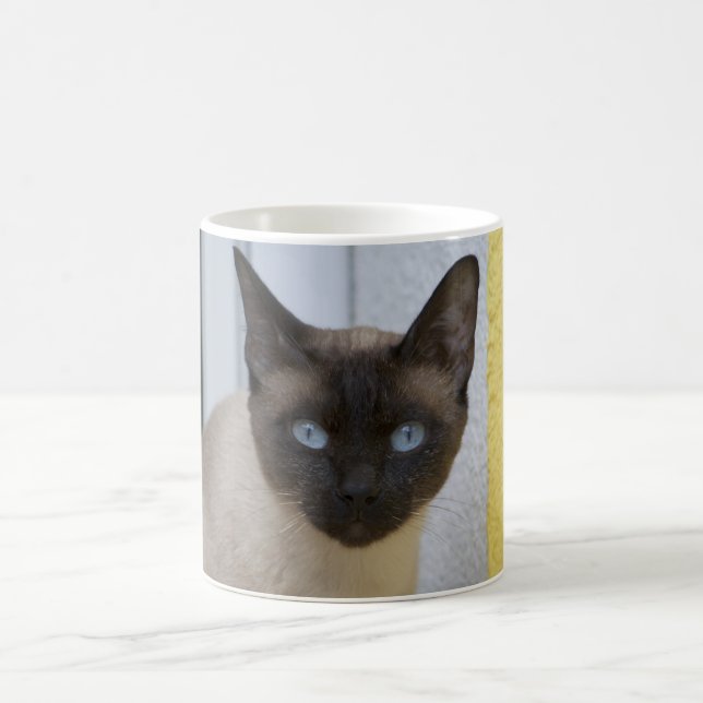 Beautiful Seal Point Siamese Cat Coffee Mug (Center)