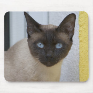 Beautiful Seal Point Siamese Cat Mouse Pad