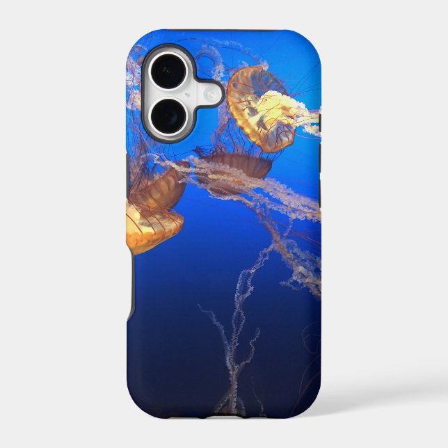 Beautiful Seascape (Back)