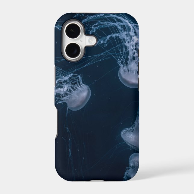 Beautiful Seascape (Back)
