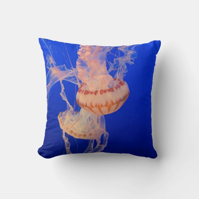 Beautiful Seascape Throw Pillow (Front)