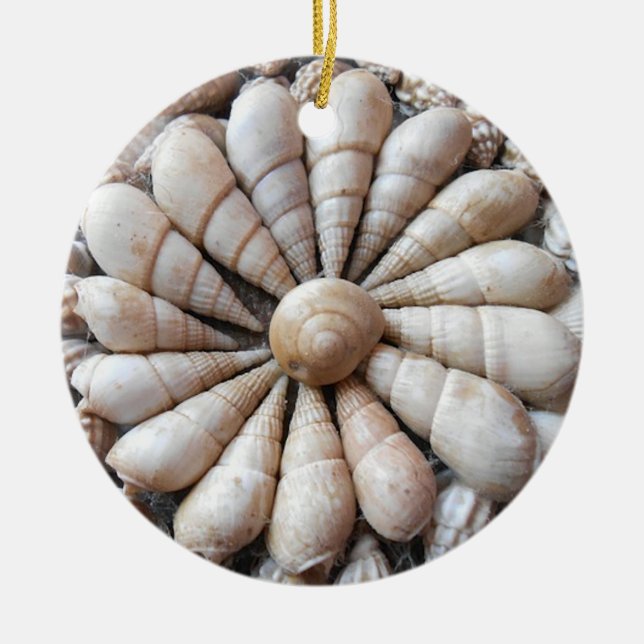 Beautiful Seashell Circular Ornament (Front)