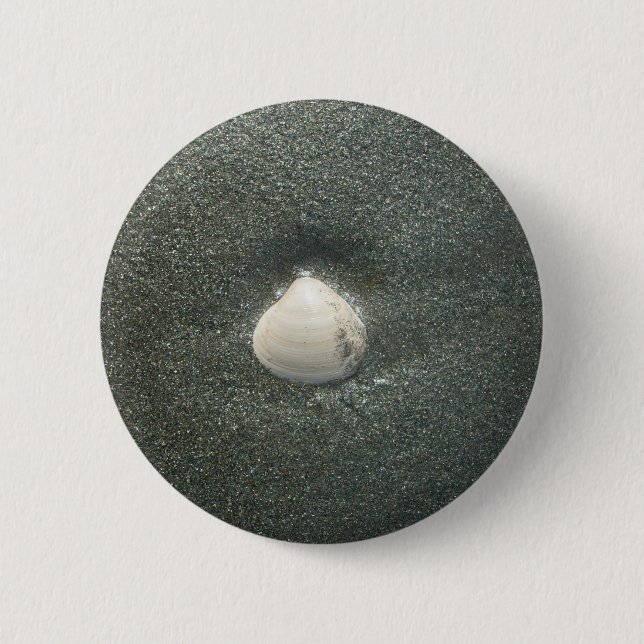 Beautiful Seashell in the Sand: A Salty Souvenir 2 Inch Round Button (Front)