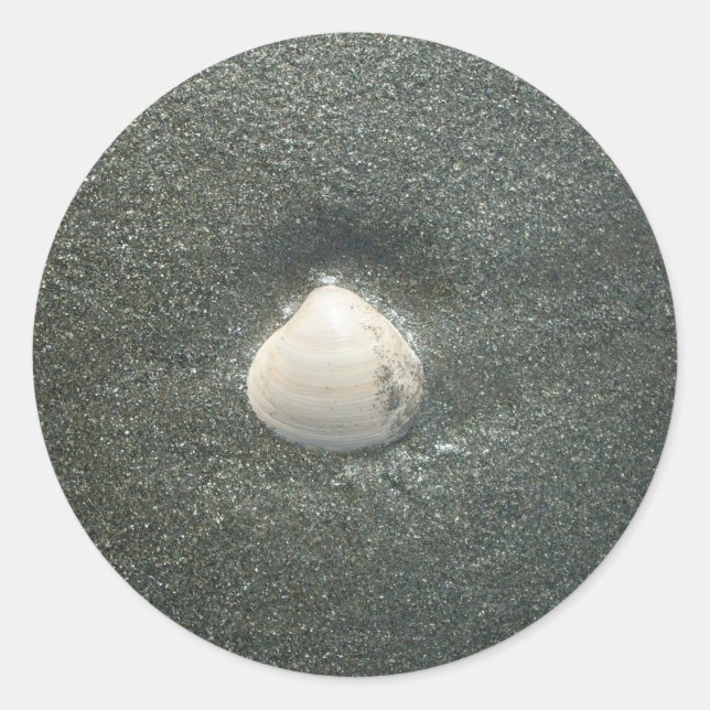 Beautiful Seashell in the Sand: A Salty Souvenir Classic Round Sticker (Front)
