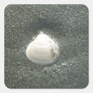 Beautiful Seashell in the Sand: A Salty Souvenir Square Sticker