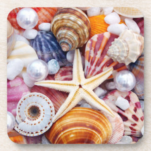 Beautiful seashells coasters