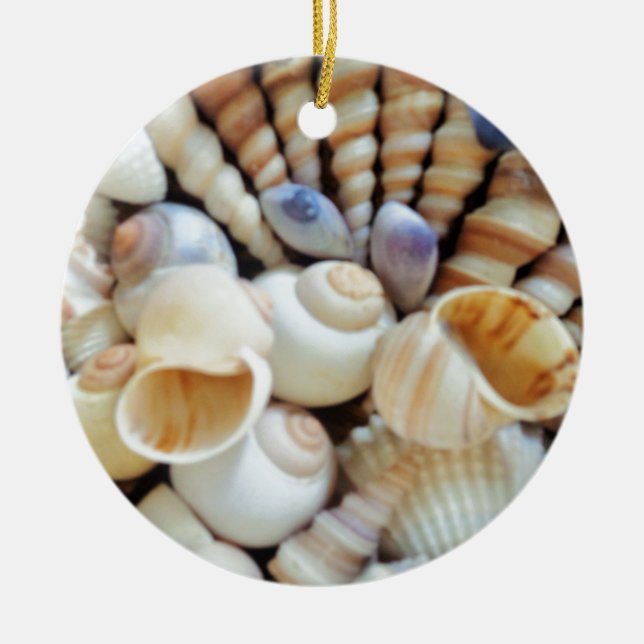 Beautiful Seashells, Summer, Beach, Shells Ceramic Ornament (Front)