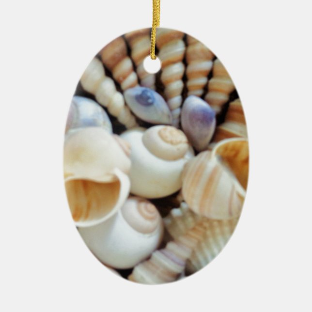 Beautiful Seashells, Summer, Beach, Shells Ceramic Ornament (Front)