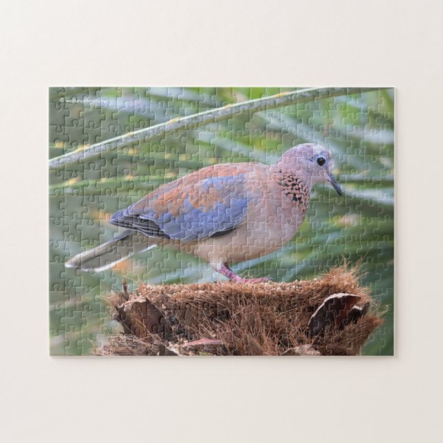 Beautiful Senegal Dove on a Tree Stump Jigsaw Puzzle (Horizontal)