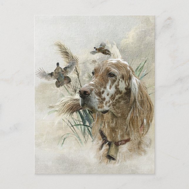 Beautiful Setter with Pheasants , Art Holiday Postcard (Front)