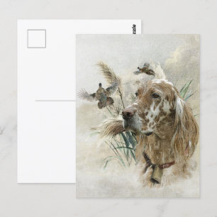 Beautiful Setter with Pheasants , Art Postcard