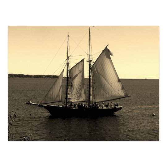Beautiful ship on the Ocean Postcard