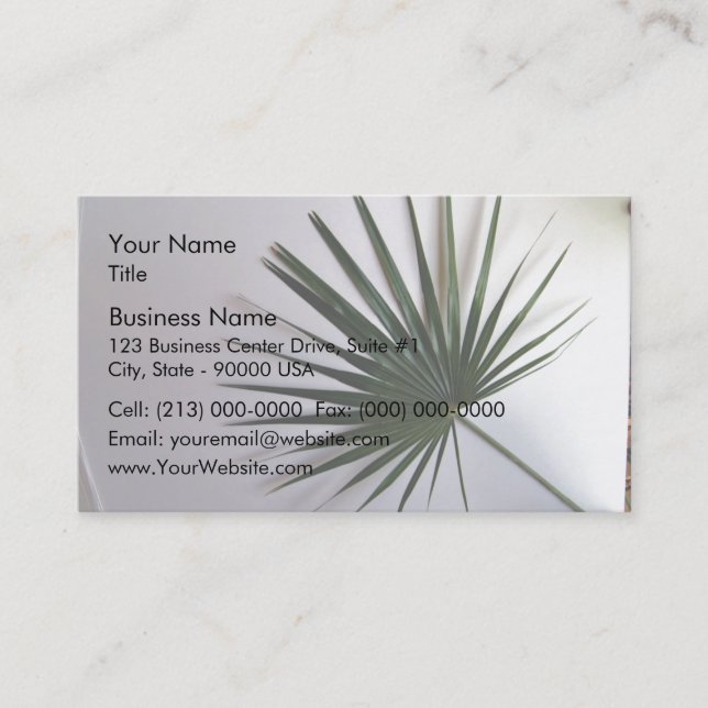 Beautiful shot of a fan palm leaf against white ba business card (Front)