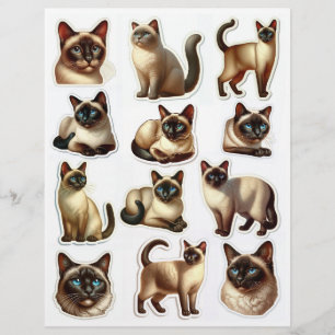 Beautiful Siamese Cat Illustrations Heads & Bodies