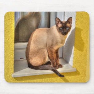 Beautiful Siamese Cat Mouse Pad