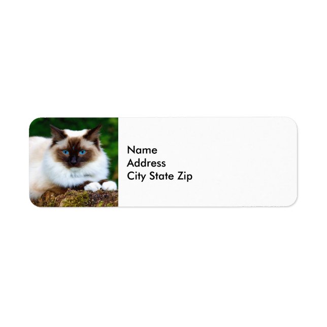 Beautiful Siamese Cat Photo Label (Front)