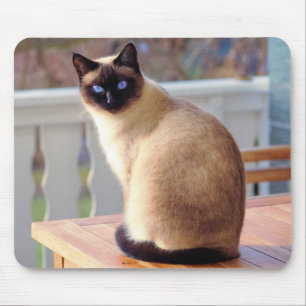 Beautiful Siamese Cat with Blue Eyes Mouse Pad