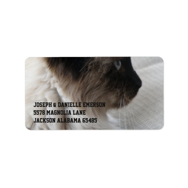 Beautiful Siamese Kitty Label (Front)