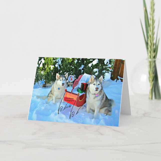 Beautiful Siberian Huskies in snow Holiday Card (Front)