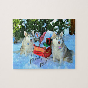 Beautiful Siberian Huskies in the snow Jigsaw Puzzle