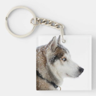 Beautiful Siberian Husky in the Snow Keychain