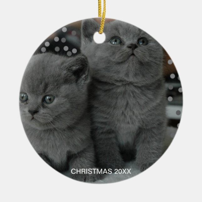 Beautiful Silver Grey Kitty Cats & Editable Text Ceramic Ornament (Front)