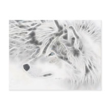 Beautiful Silver Wolf