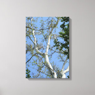 Beautiful simple tree and sky wall art