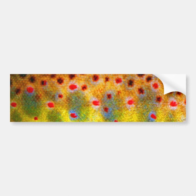 "Beautiful Skin, Brown Trout" Bumper Sticker (Front)