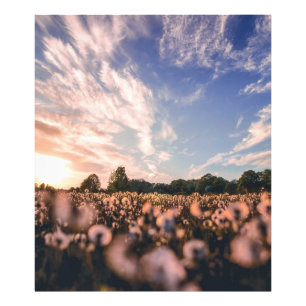 beautiful sky over the plain photo print