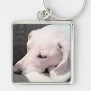 Beautiful Sleeping White Labrador Mix Dog Keychain