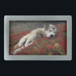 Beautiful Sleeping Wolf Belt Buckle<br><div class="desc">This is a Beautiful Sleeping Wolf Belt Buckle</div>