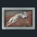 Beautiful Sleeping Wolf Belt Buckle<br><div class="desc">This is a Beautiful Sleeping Wolf Belt Buckle</div>