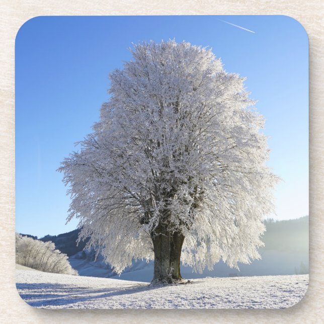 Beautiful Snow Covered Tree Winter Landscape Coaster (Front)