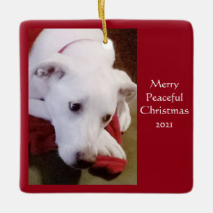 Beautiful Snowy White Puppy Dog Peace Christmas Ceramic Ornament
