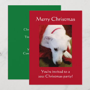 Beautiful Snowy White Puppy Dog Red Christmas Invitation