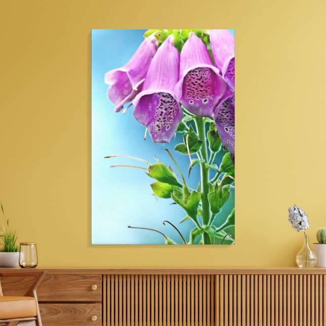 Beautiful Soft Rose Thimble Flower Canvas Print (Insitu(LivingRoom))