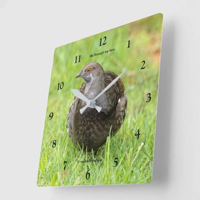 Beautiful Sooty Grouse Gamebird in the Grass Square Wall Clock (Angle)