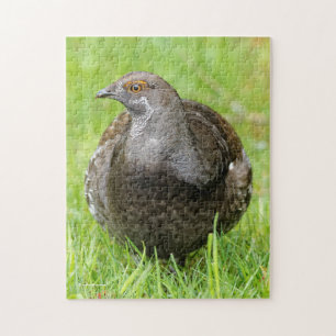 Beautiful Sooty Grouse in the Grass Jigsaw Puzzle