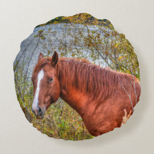 Beautiful Sorrel Mare & Lake View Equine Photo Round Pillow