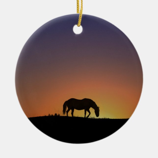 Beautiful Southwestern Horse Christmas Ornament (Front)