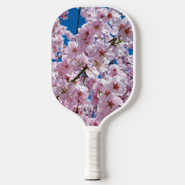Beautiful Spring Cherry Blossoms Pickleball Paddle (Front)