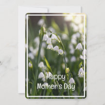 Beautiful Spring Flowers Mother's Day