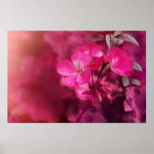 Beautiful spring flowers poster